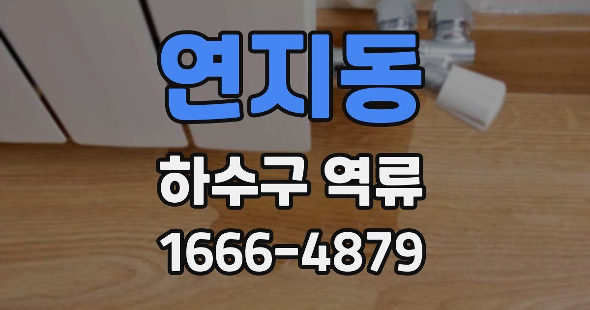 연지동 하수구 역류