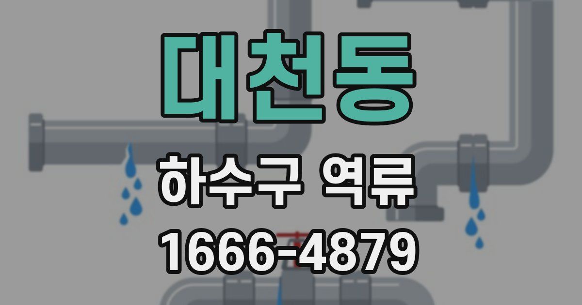 대천동 하수구 역류