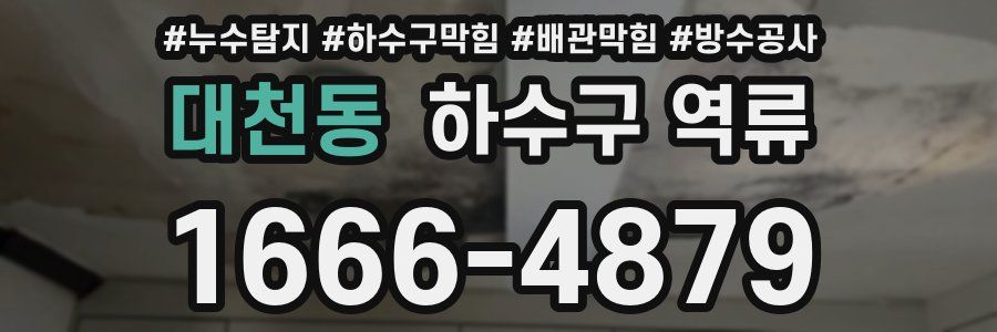 대천동 하수구 역류