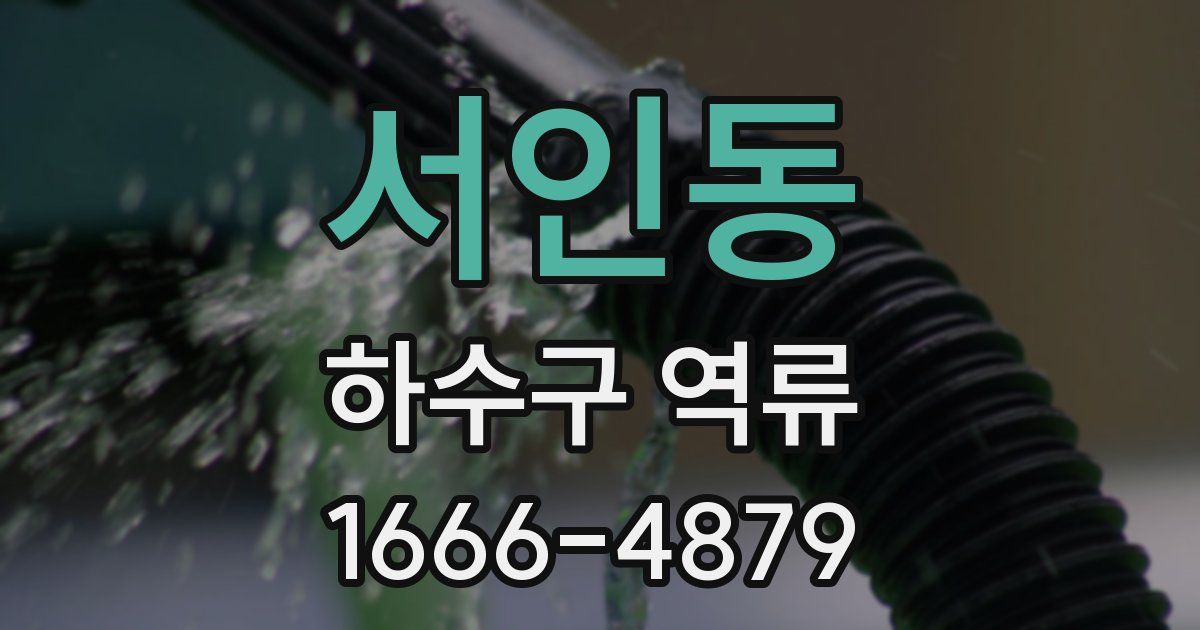 서인동 하수구 역류