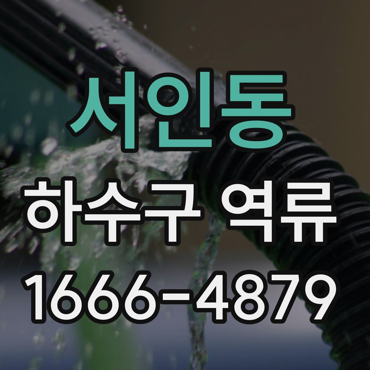 서인동 하수구 역류