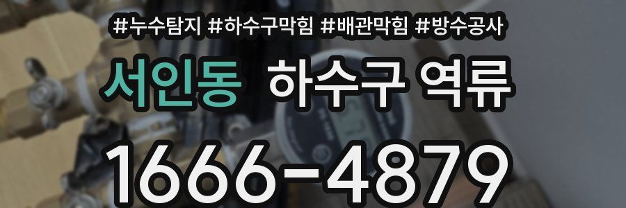 서인동 하수구 역류
