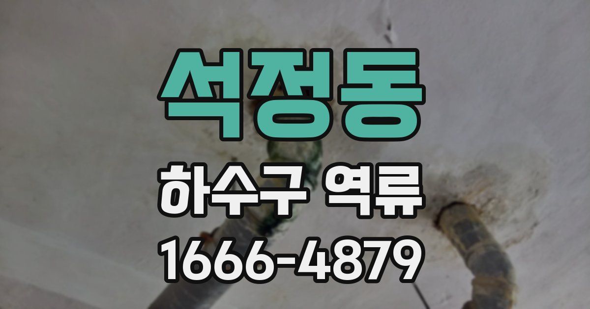 석정동 하수구 역류