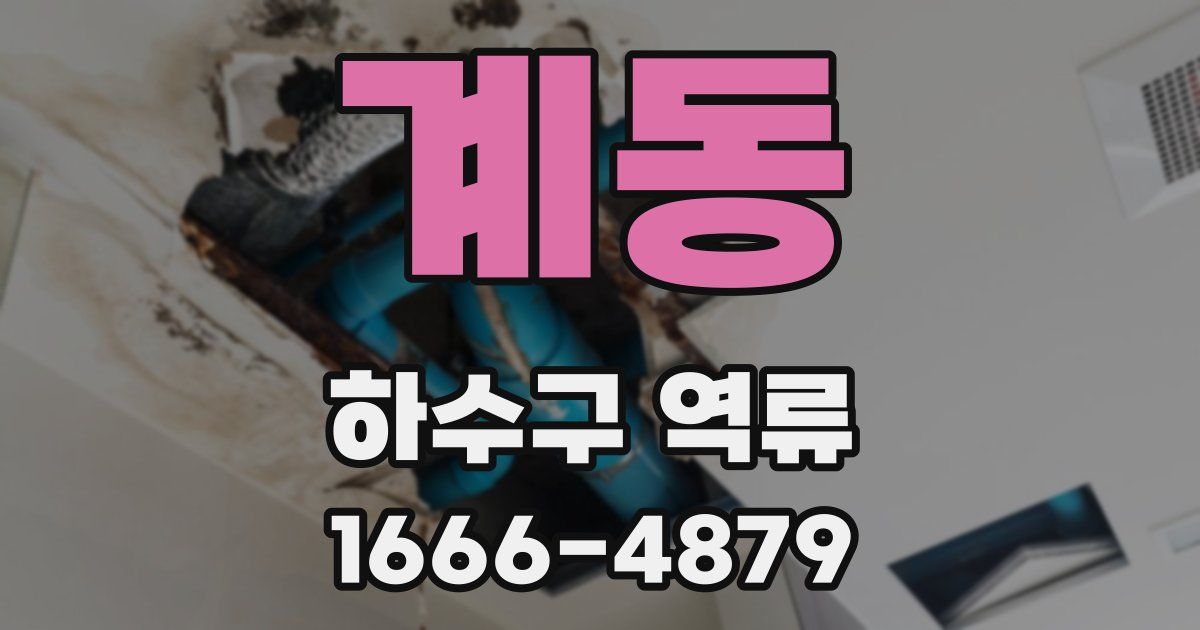 계동 하수구 역류