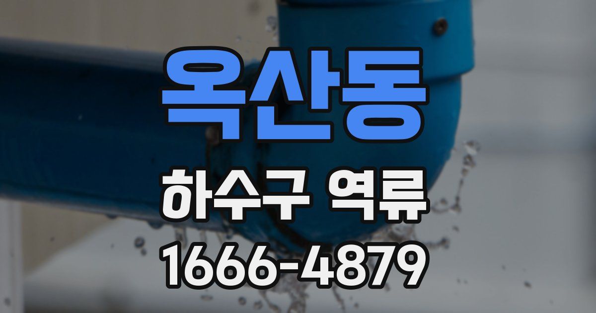 옥산동 하수구 역류