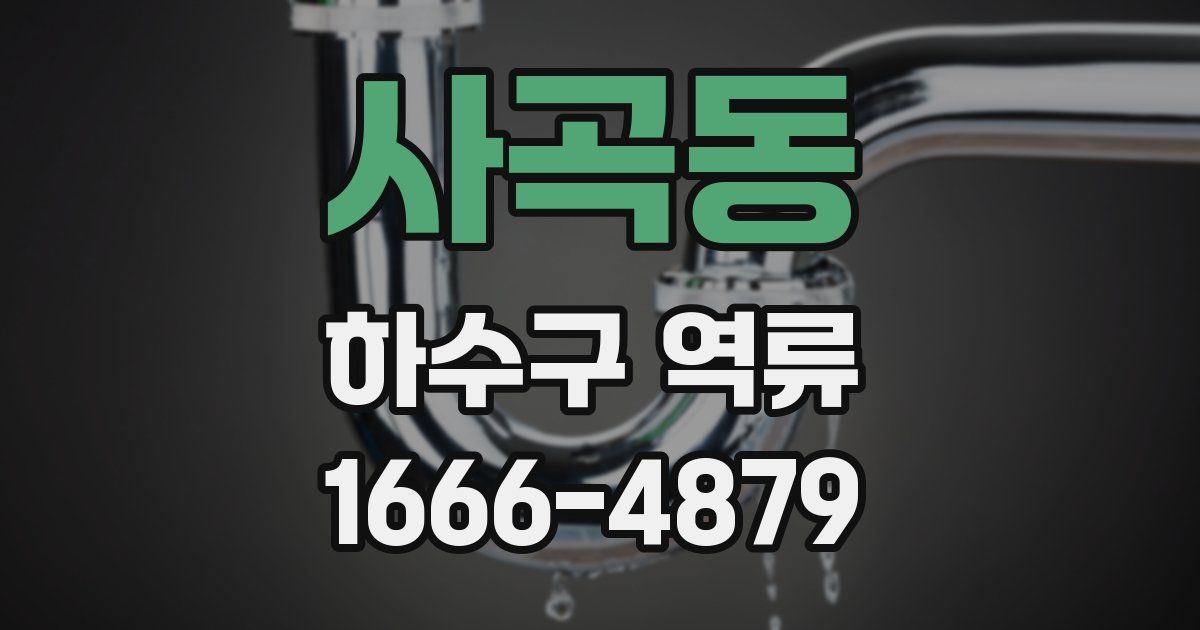 사곡동 하수구 역류