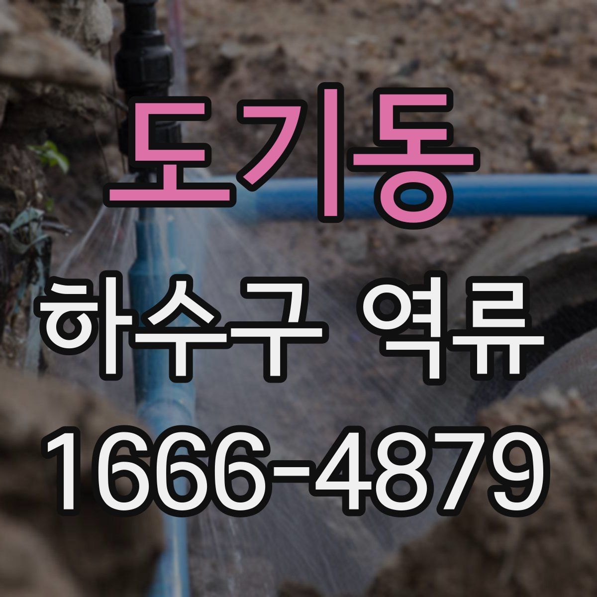 도기동 하수구 역류