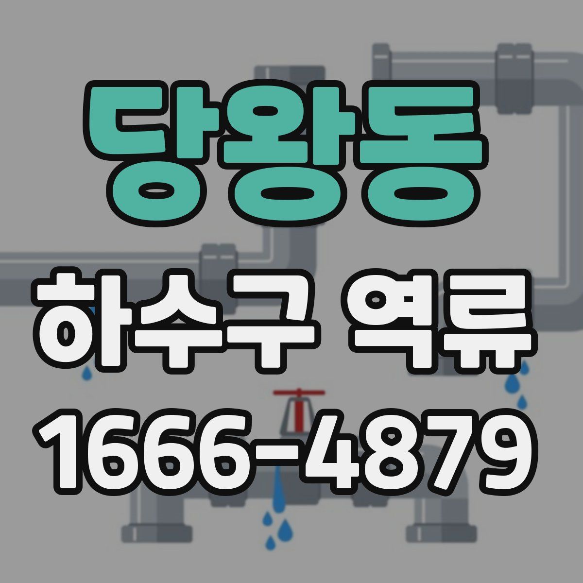 당왕동 하수구 역류