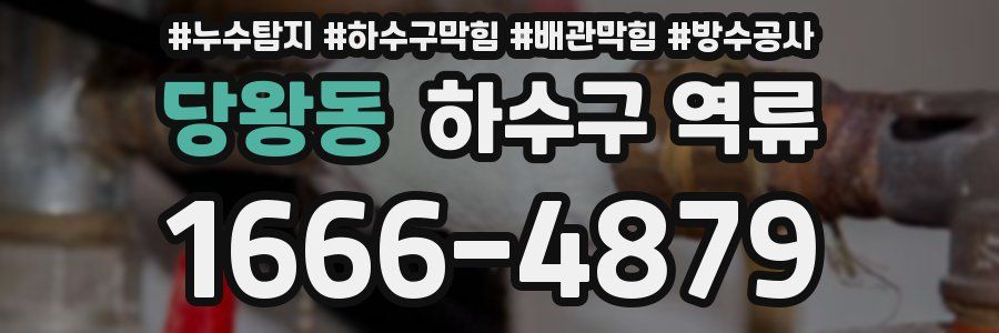 당왕동 하수구 역류