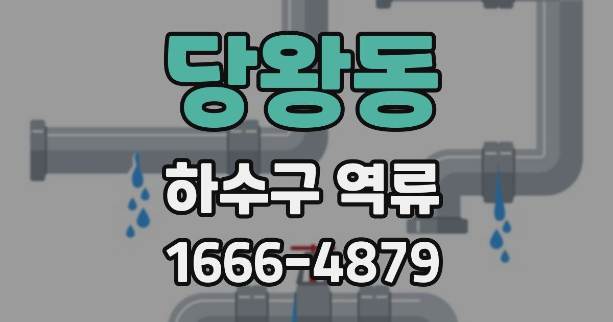 당왕동 하수구 역류