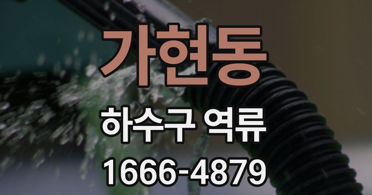 가현동 하수구 역류