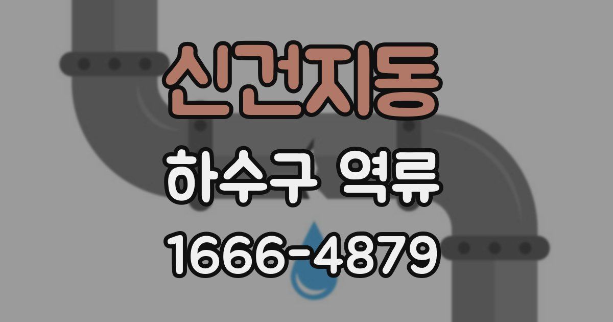 신건지동 하수구 역류