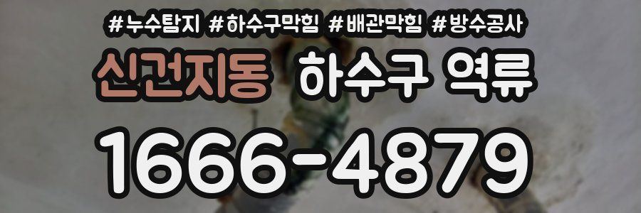 신건지동 하수구 역류