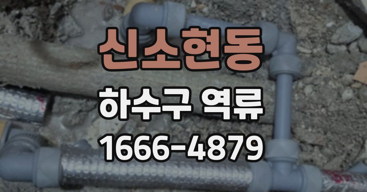 신소현동 하수구 역류