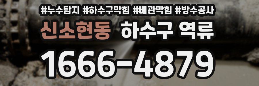 신소현동 하수구 역류