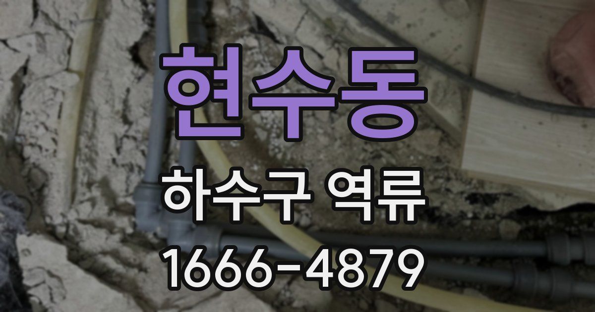현수동 하수구 역류