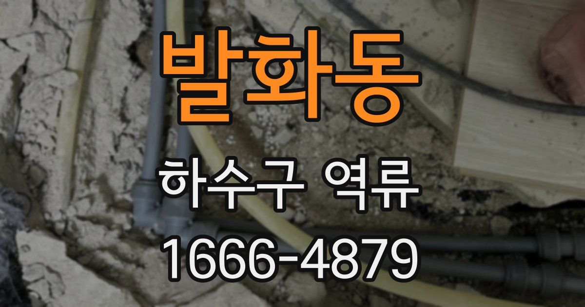 발화동 하수구 역류