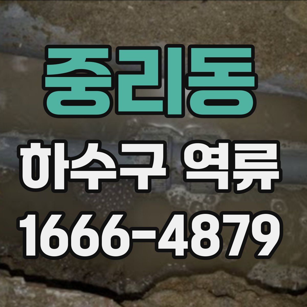 중리동 하수구 역류