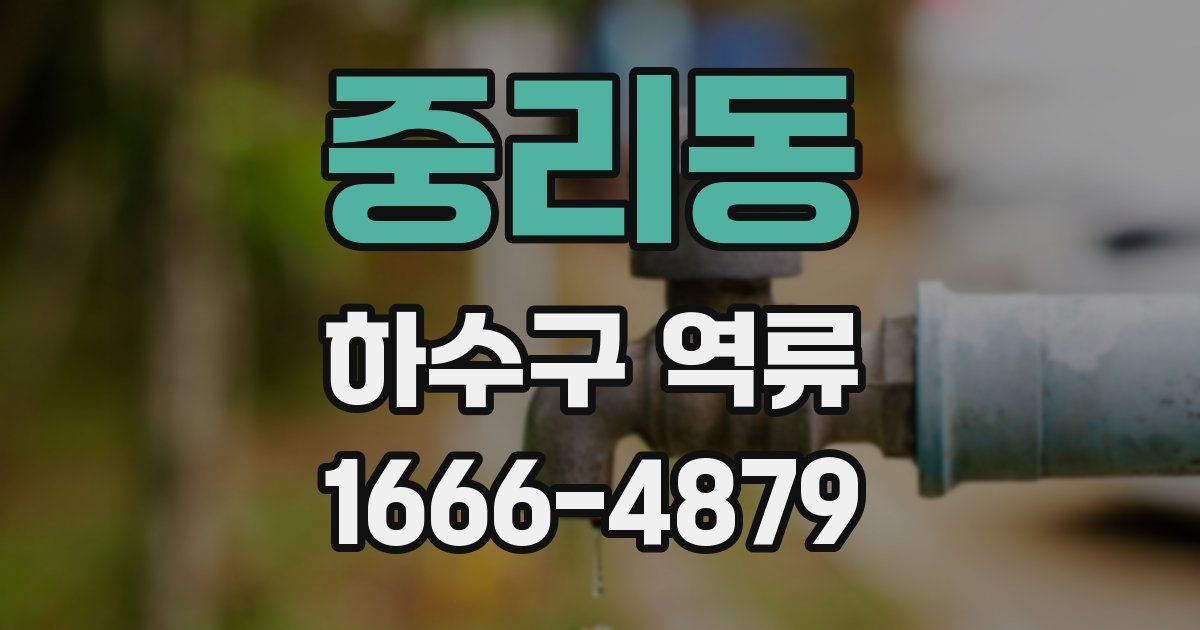 중리동 하수구 역류