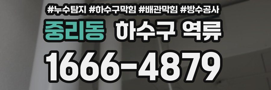 중리동 하수구 역류