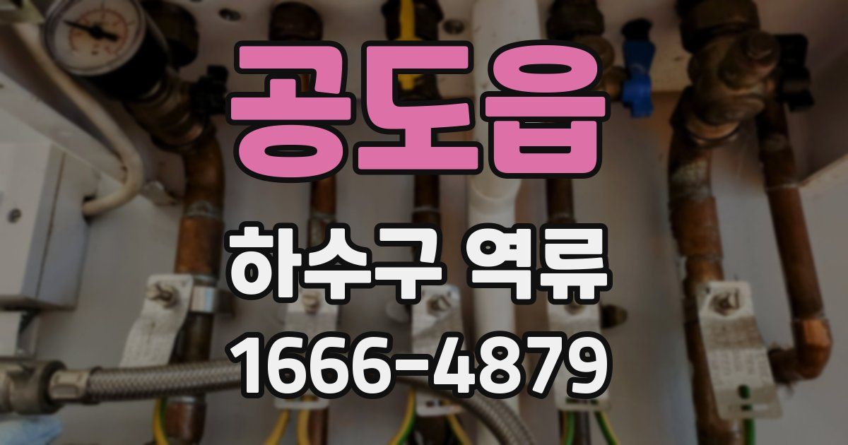 공도읍 하수구 역류