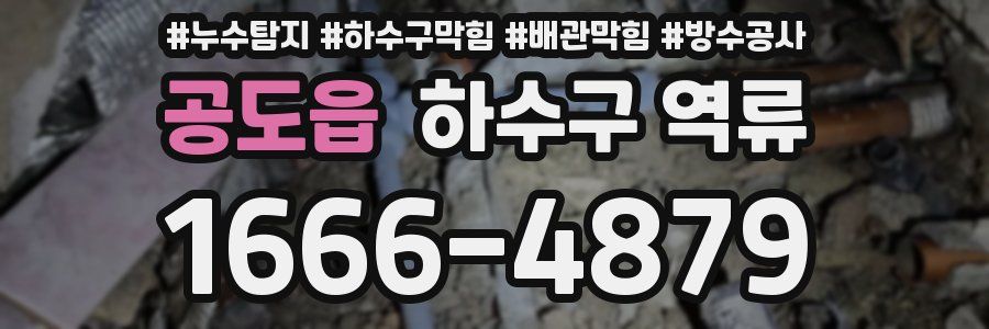 공도읍 하수구 역류