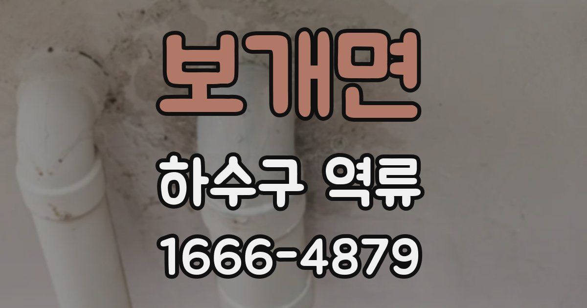 보개면 하수구 역류