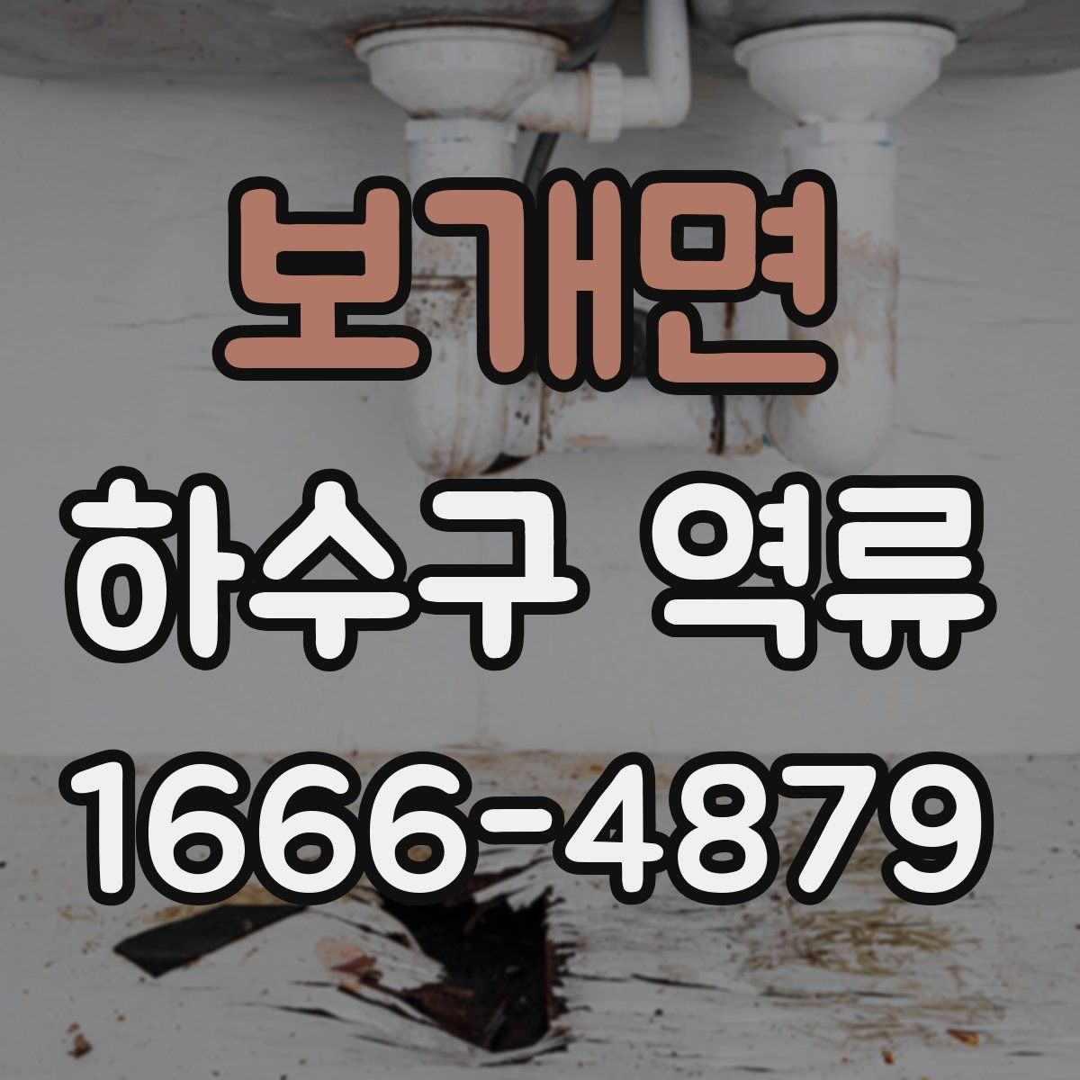 보개면 하수구 역류