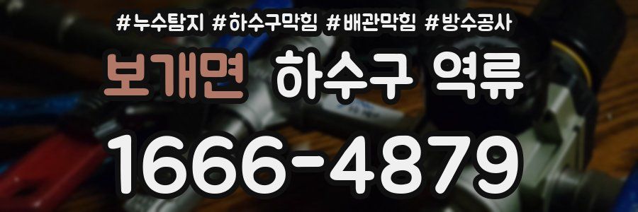 보개면 하수구 역류