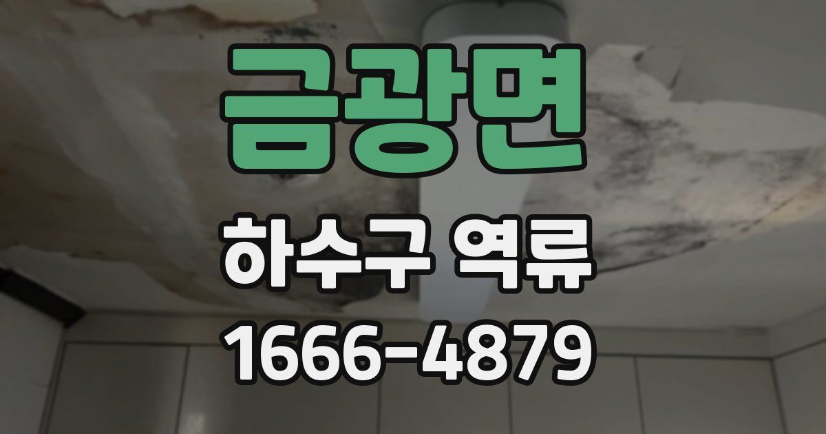 금광면 하수구 역류