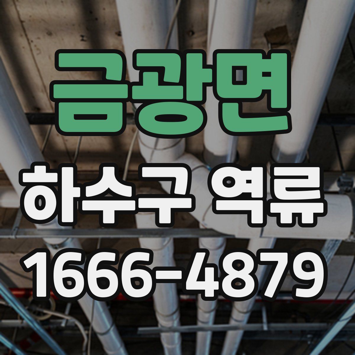 금광면 하수구 역류