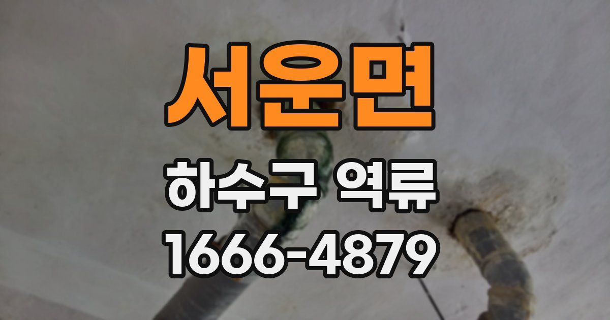 서운면 하수구 역류