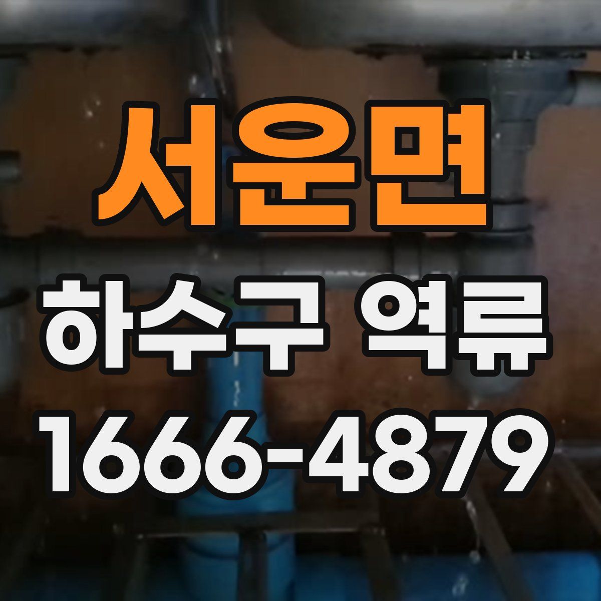 서운면 하수구 역류