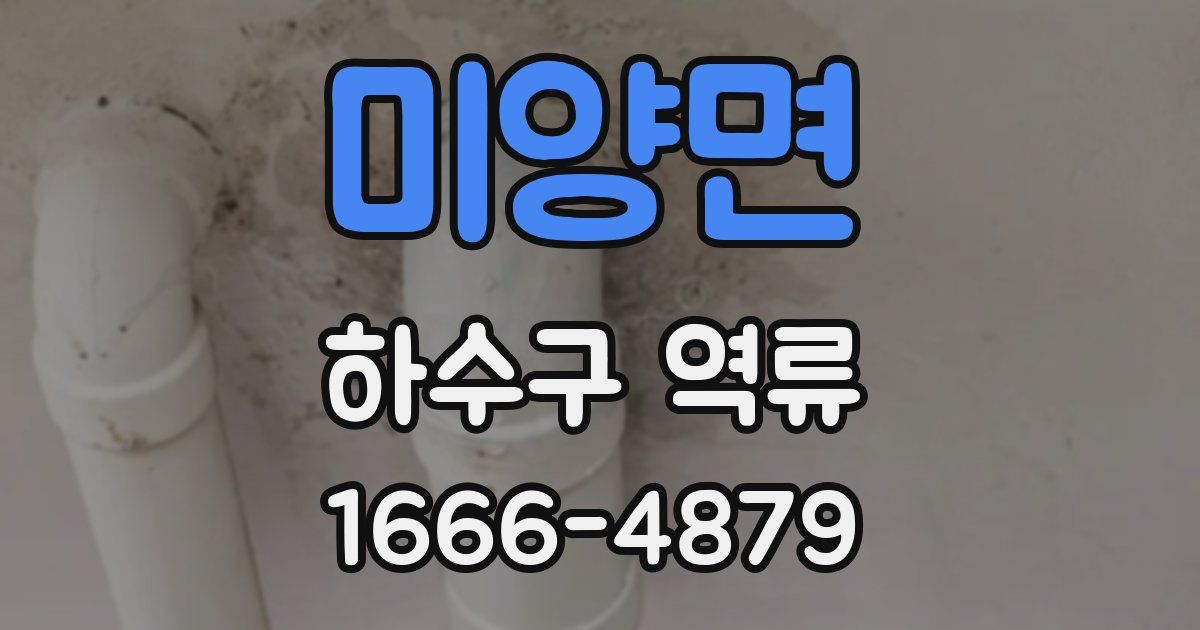 미양면 하수구 역류