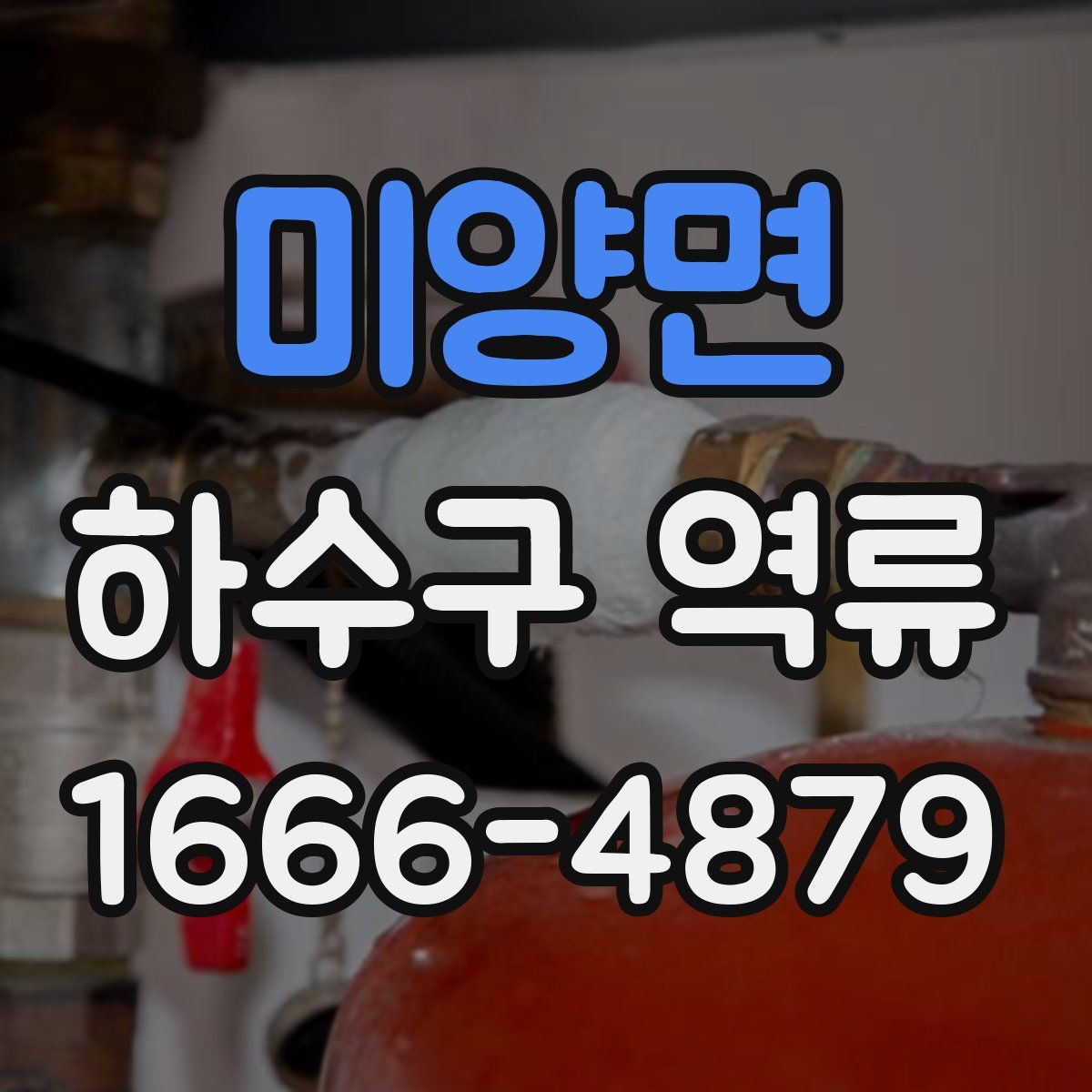 미양면 하수구 역류