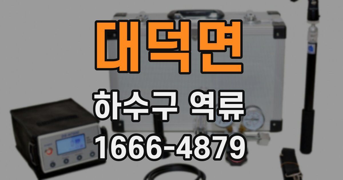대덕면 하수구 역류