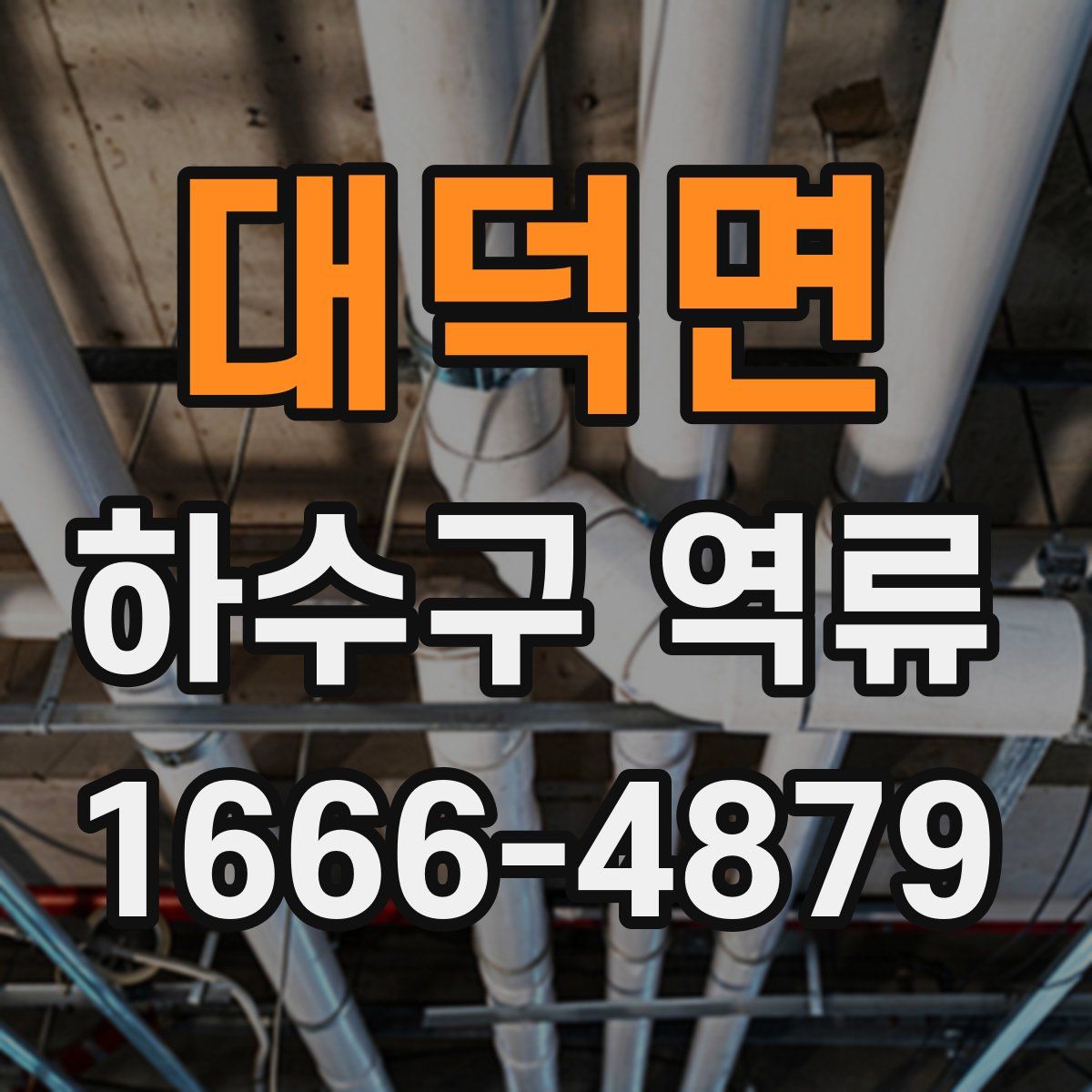 대덕면 하수구 역류