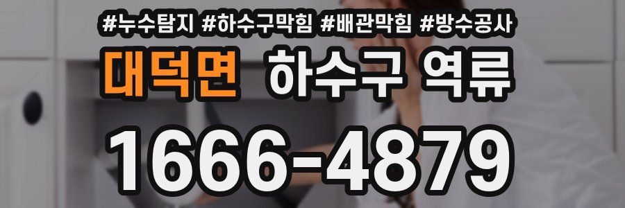 대덕면 하수구 역류