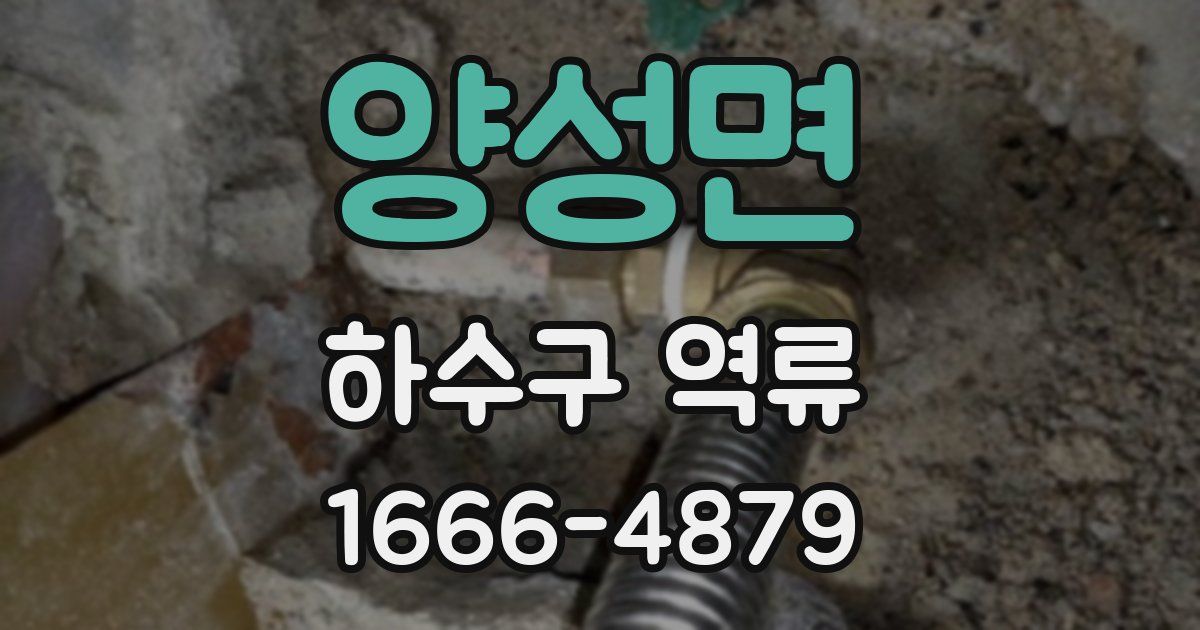 양성면 하수구 역류