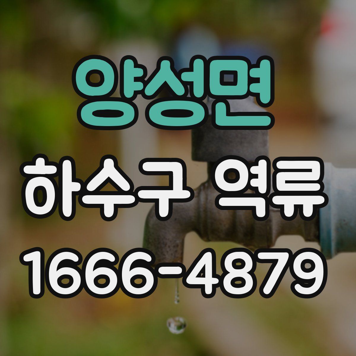 양성면 하수구 역류