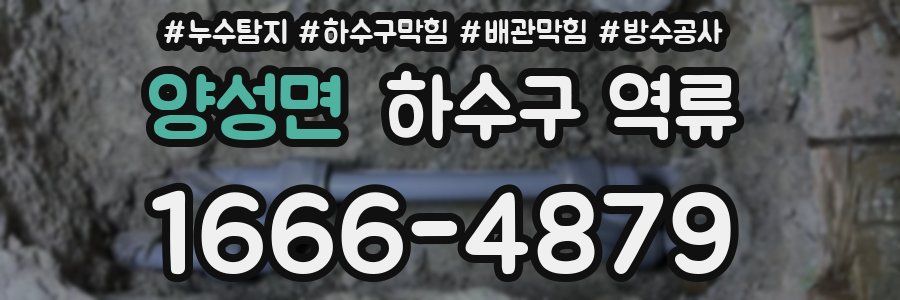 양성면 하수구 역류