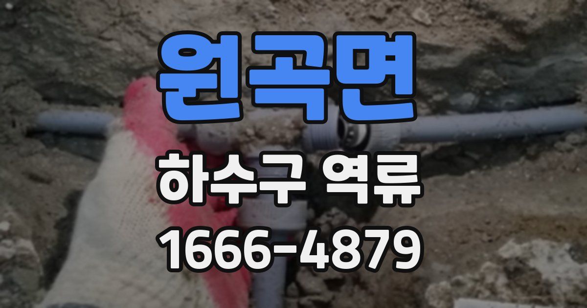 원곡면 하수구 역류
