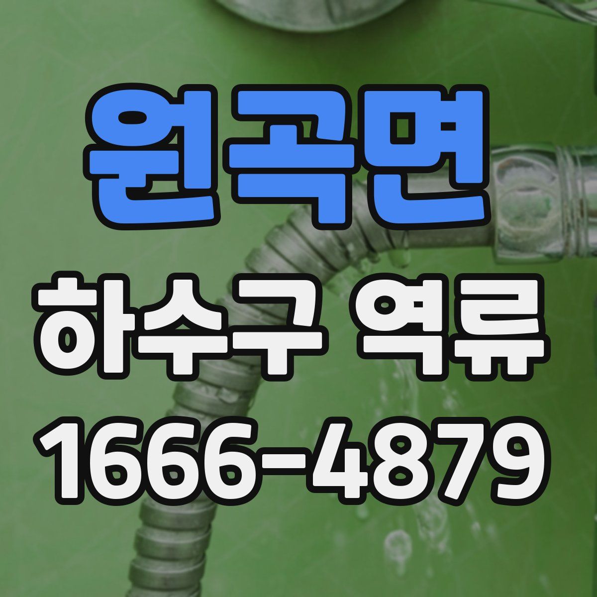 원곡면 하수구 역류