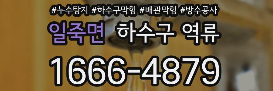 일죽면 하수구 역류