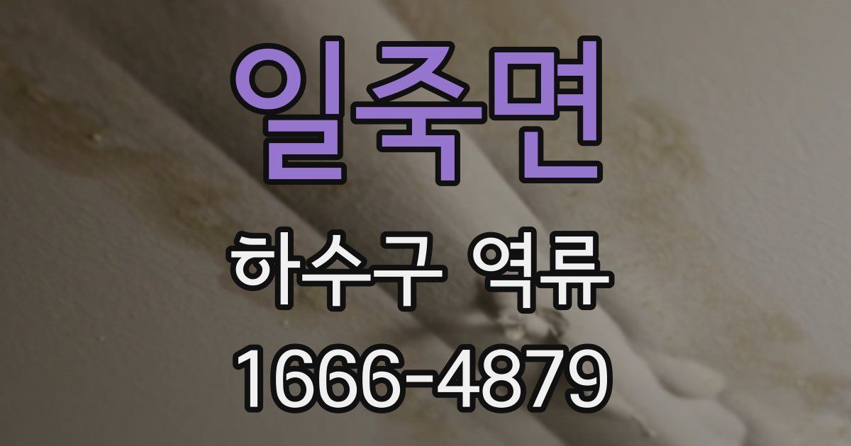 일죽면 하수구 역류
