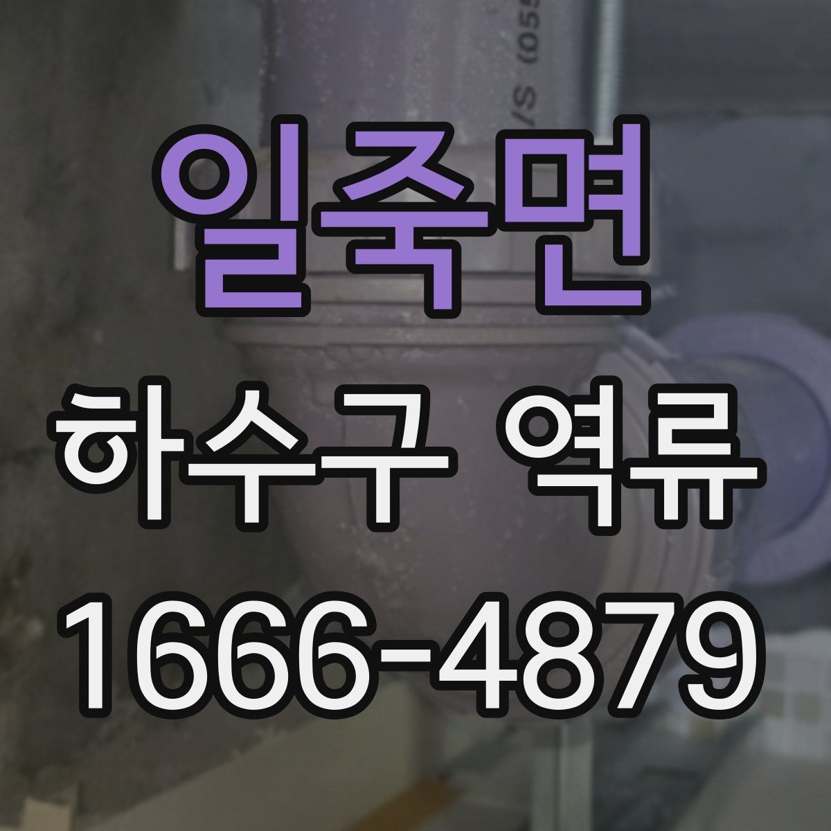 일죽면 하수구 역류