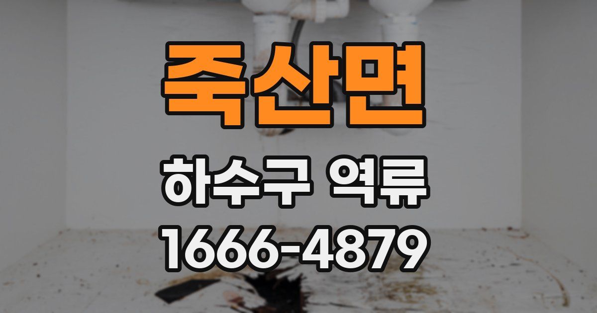 죽산면 하수구 역류
