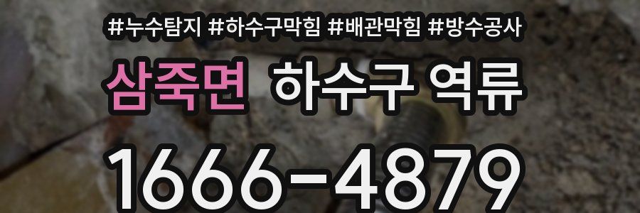 삼죽면 하수구 역류