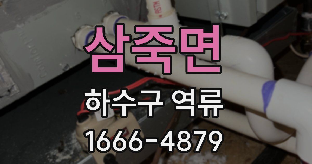 삼죽면 하수구 역류