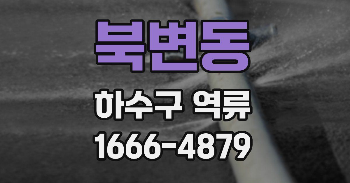 북변동 하수구 역류